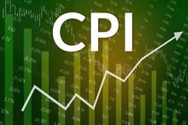 Giá điện và giá thịt lợn đẩy CPI tháng 5/2024 lên cao