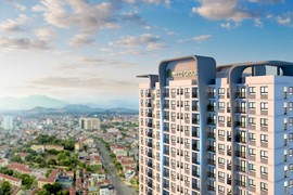 Dừng làm thủ tục hải quan đối với Tập đoàn Tecco