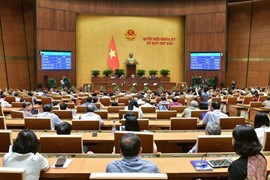 Chuyên đề bảo vệ môi trường sẽ được Quốc hội giám sát tối cao trong năm 2025