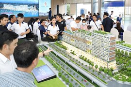 2024 vẫn là năm của chung cư, dự báo đất nền khởi sắc từ quý 2/2025