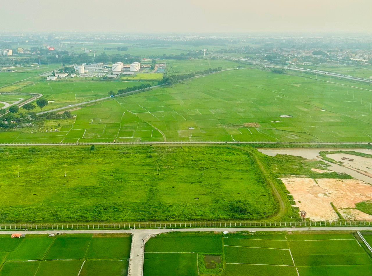 Chính phủ gia hạn thời hạn nộp thuế, tiền thuê đất năm 2024