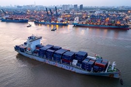Giá cước vận tải biển tăng dựng đứng