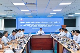 Nhiệt điện Phú Mỹ và Công ty EPS: Đảm bảo sản xuất điện mùa khô 2024