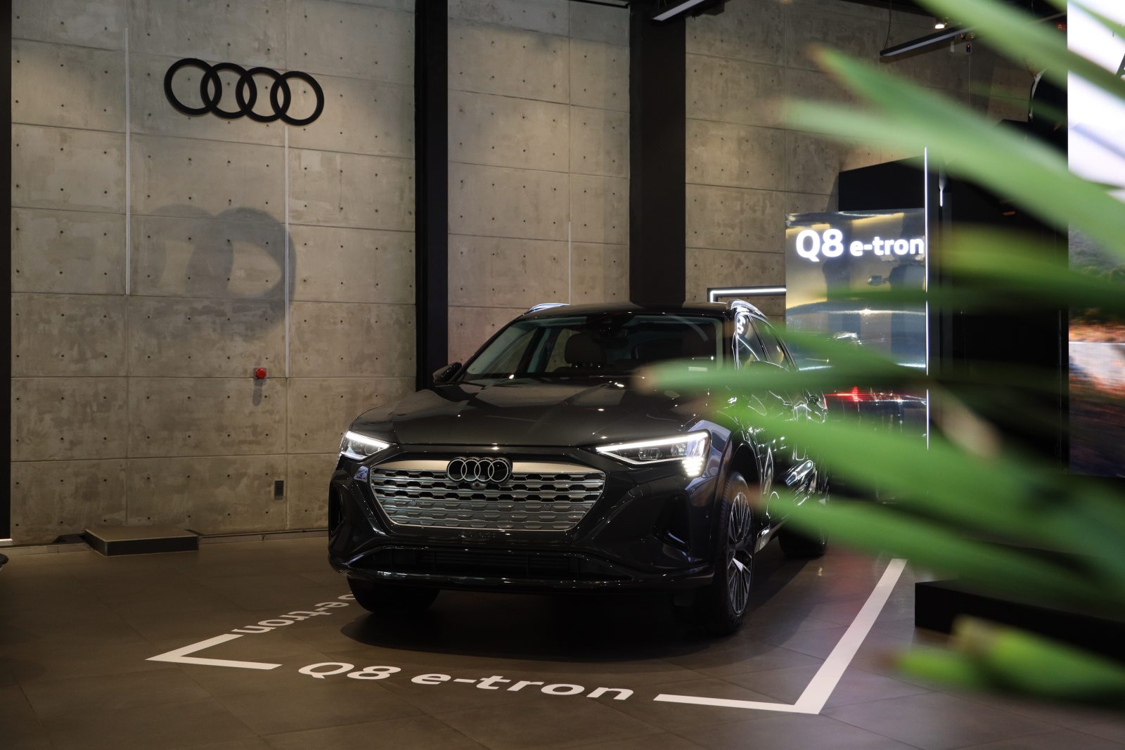 Xe thuần điện Audi Q8