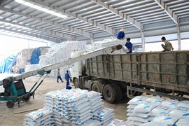Việc áp thuế 5% với phân bón “làm nóng” nghị trường Quốc hội