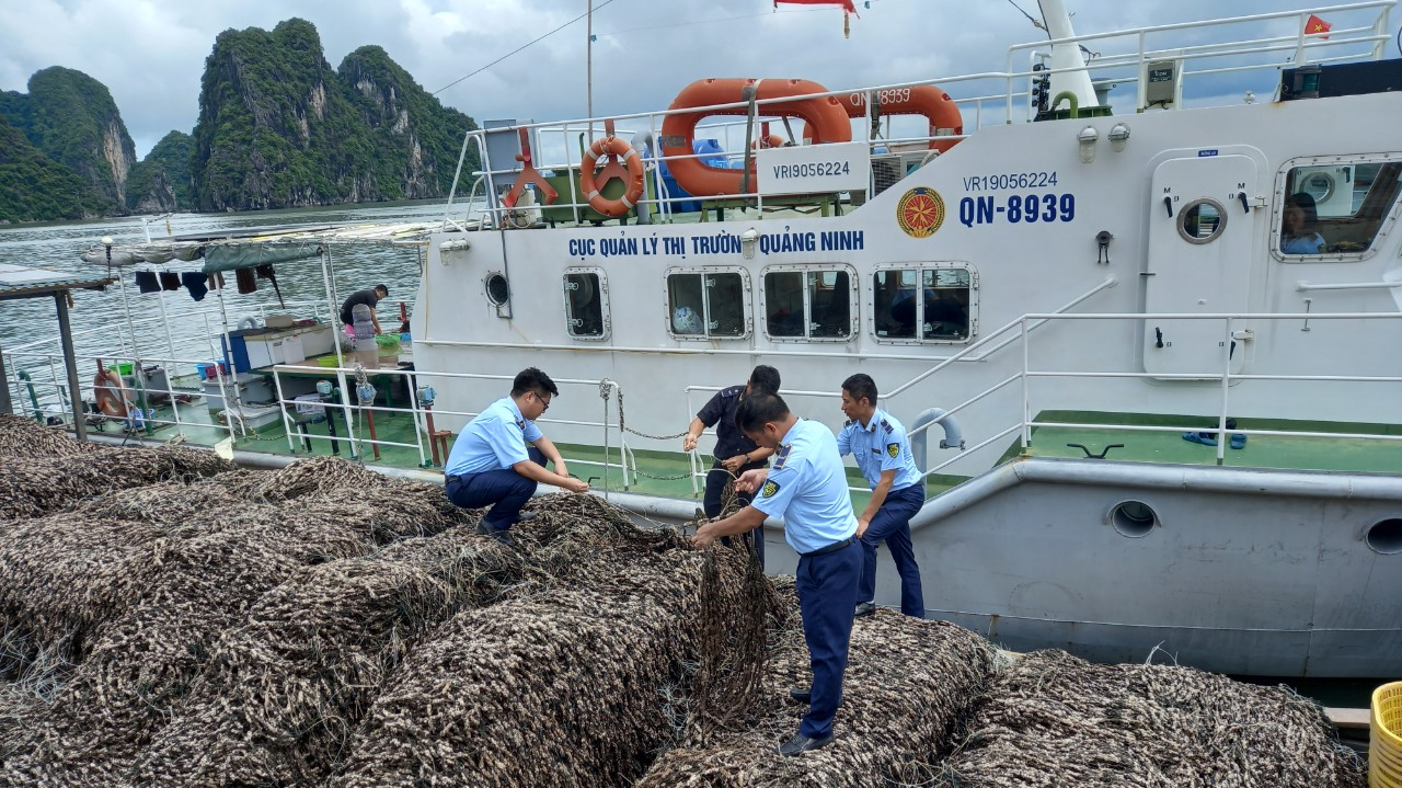 Quảng Ninh: Ngăn chặn 63 tấn hàu giống không rõ nguồn gốc xuất xứ