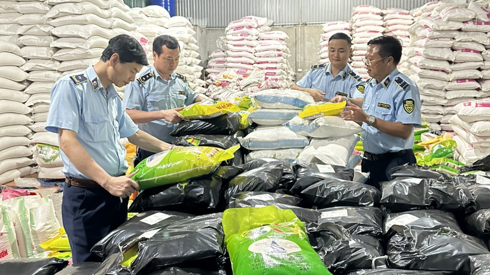 gạo St25 giả mạo nhãn hiệu 