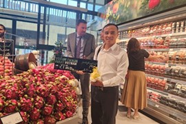 Thanh long tươi Việt Nam lần đầu có mặt tại thị trường Ả-rập Xê-út