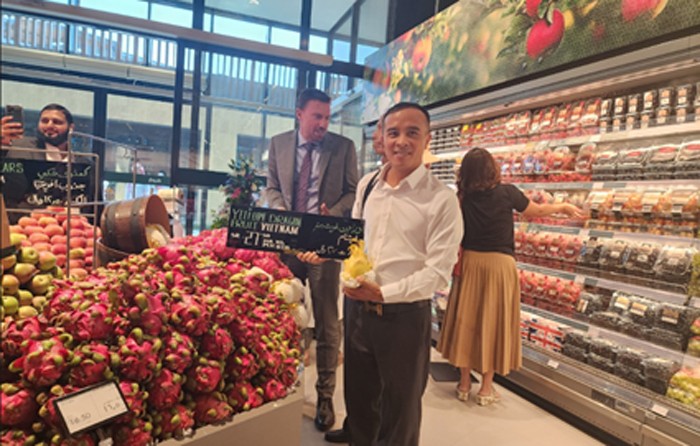 Thanh long tươi Việt Nam lần đầu có mặt tại thị trường Ả-rập Xê-út