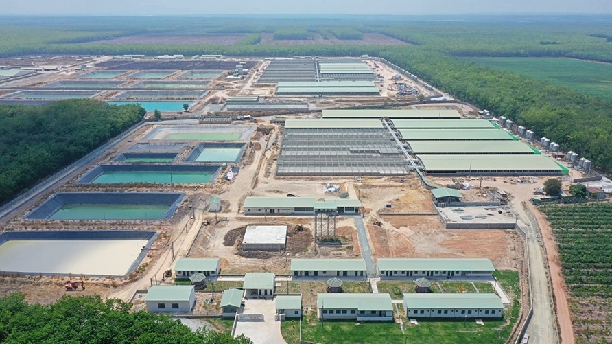 BaF Việt Nam nói gì về việc “ế” hơn 4,6 triệu cổ phiếu ESOP có giá rẻ hơn tới 50% thị giá?