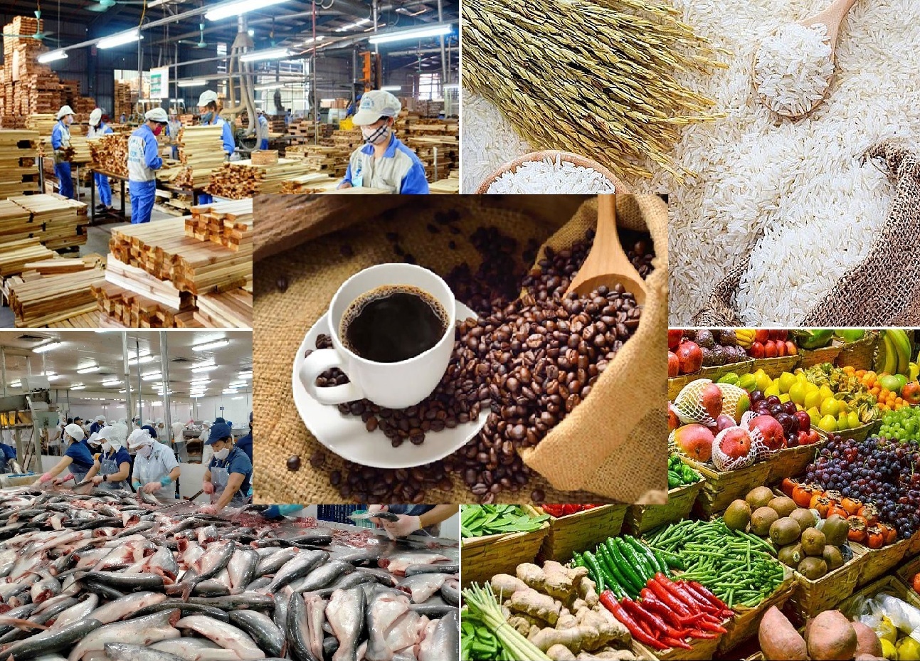 Triển vọng xuất khẩu nông sản Việt Nam: Nắng đẹp nhưng còn mây mù