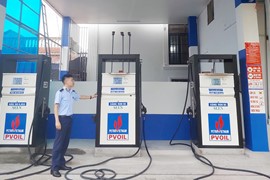Nam Định: Xử phạt doanh nghiệp 45 triệu đồng vì không có giấy chứng nhận đủ điều kiện kinh doanh