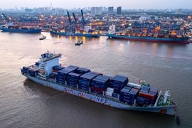 Cước vận tải biển ‘thổi bay’ lợi nhuận doanh nghiệp