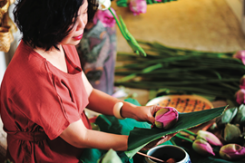 Chuyện nữ nhà báo mê sen Tây Hồ