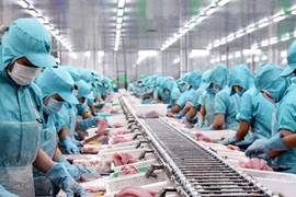 Việt Nam là nguồn cung thủy sản lớn thứ 5 cho Singapore trong hai quý liên tiếp