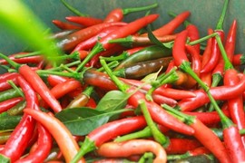 Xuất khẩu ớt thu về gần 18 triệu USD trong 6 tháng đầu năm