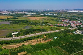 Từ ngày 1/8, kiểm kê đất đai trên phạm vi cả nước