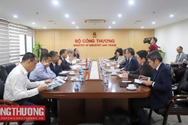 Sẽ thành lập nhóm công tác xúc tiến chuyển đổi năng lượng Việt Nam - Nhật Bản