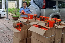 Bắt giữ lô hàng 400 mặt nạ chống độc nhập lậu tại khu công nghiệp Ngọc Hồi, Hà Nội