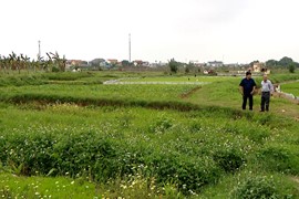 Thu hồi đất ngay nếu vi phạm đất đai thuộc dạng phải xử phạt hành chính