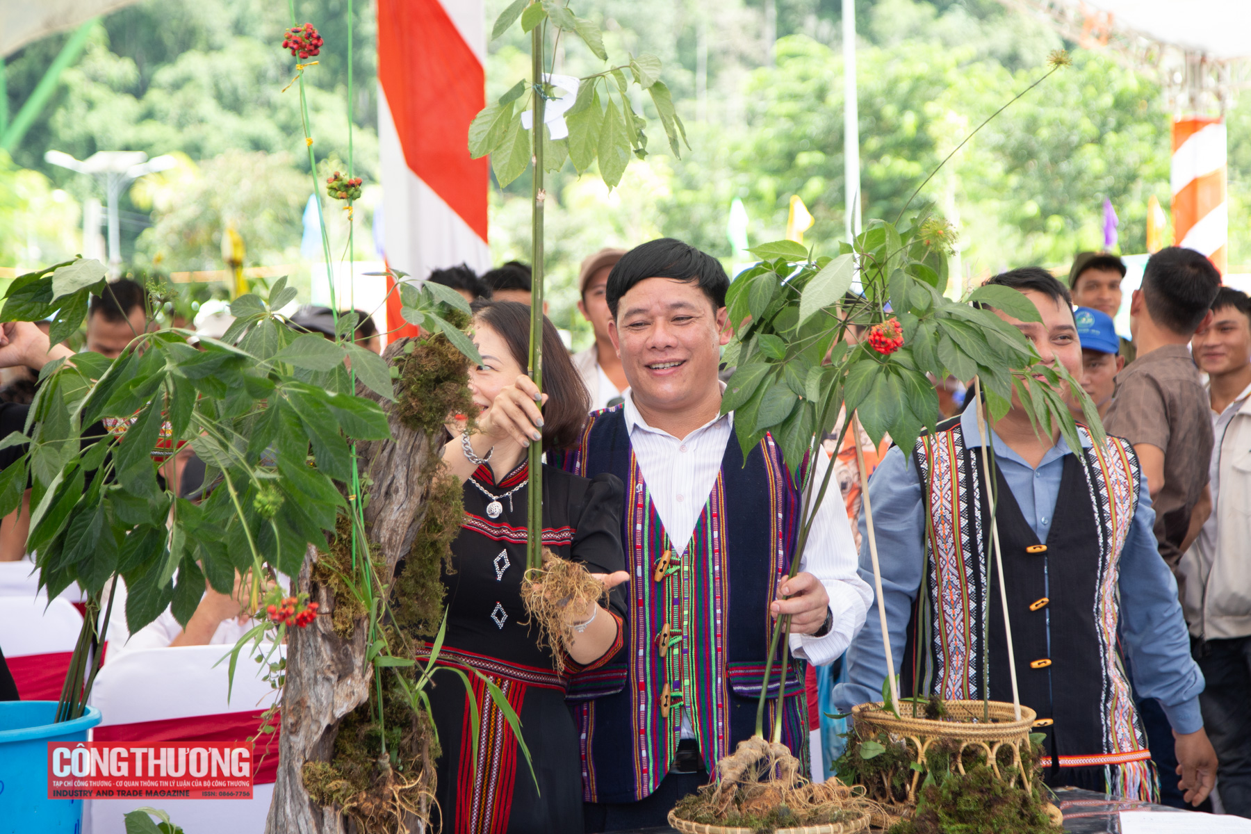 Quảng Nam: Đấu giá sâm Ngọc Linh, thu về hàng trăm triệu đồng ủng hộ xóa nhà tạm
