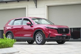 Mua ô tô Honda không cần chờ giảm phí trước bạ