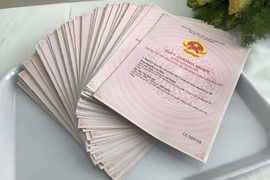 Cấp sổ đỏ lần đầu không quá 3 ngày làm việc