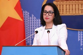Người phát ngôn Bộ Ngoại giao nêu phản ứng trước việc Hoa Kỳ tiếp tục xác định Việt Nam là nền kinh tế phi thị trường
