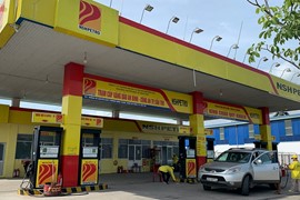 NSH Petro (PSH): Thua lỗ kỷ lục, hứa khắc phục việc nợ hơn nghìn tỷ tiền thuế trong tháng 8