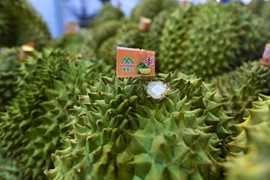 Vui buồn xuất khẩu nông sản
