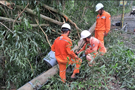 Ngành Điện miền Nam cảnh báo nguy cơ mất an toàn điện mùa mưa bão