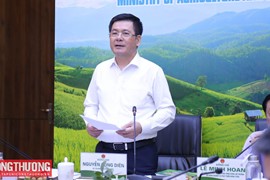 Sớm trình Chính phủ thành lập Hội đồng lúa gạo quốc gia