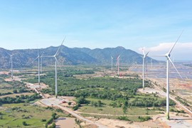 Tập đoàn Hà Đô (HDG): Có 200 MW điện gió được ưu tiên phát triển theo Quy hoạch Điện 8