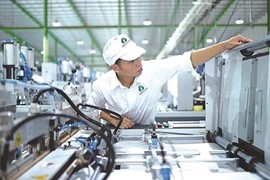 Lãi ròng cao kỷ lục nhưng Nhựa An Phát Xanh (AAA) lại nộp thiếu thuế TNDN