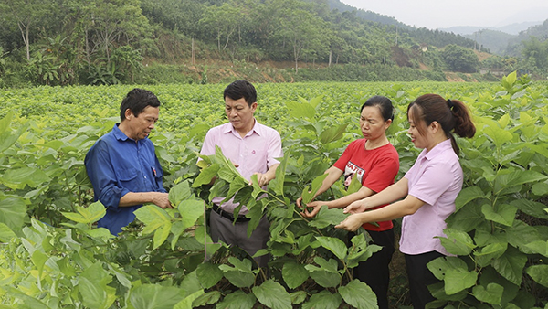 Hơn 733.000 tỷ đồng cho vay tín dụng chính sách xã hội