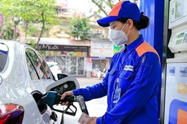 Giá xăng dầu hôm nay 15/8: Tăng nhẹ sau chuỗi giảm liên tiếp 5 kỳ điều hành