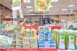 Đường Quảng Ngãi (QNS): Mảng sữa dần hồi phục, giá đường dự kiến neo cao