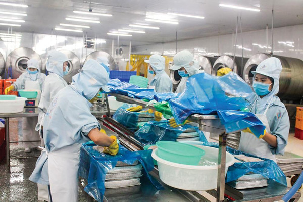 Thương mại song phương Việt Nam - Nga tăng gần 50%