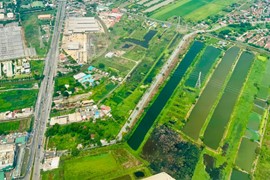 Sắp đấu giá 87 lô đất tại Hoài Đức, Phúc Thọ, Quốc Oai, Mỹ Đức