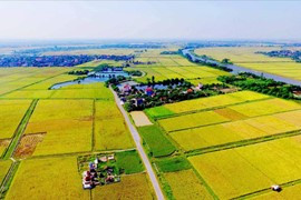 4 trường hợp được giảm tiền sử dụng đất khi làm sổ đỏ