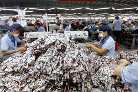 Tăng xuất khẩu nhưng lợi nhuận co hẹp