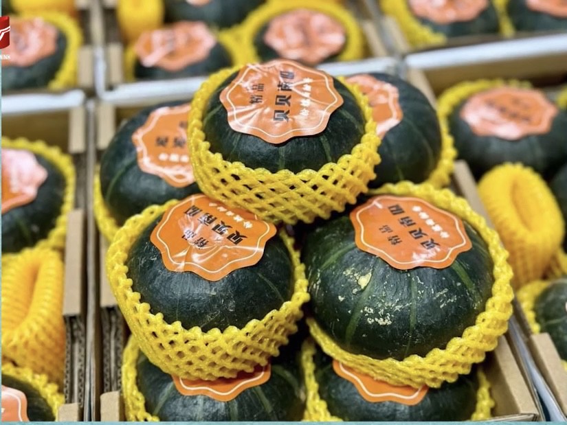 Phát hiện và tịch thu hàng trăm quả bí ngô nhập lậu tại Hà Nội