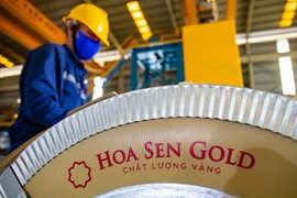 Vì sao Dragon Capital miệt mài bán ròng 40 triệu cổ phiếu HSG từ đầu năm đến nay?