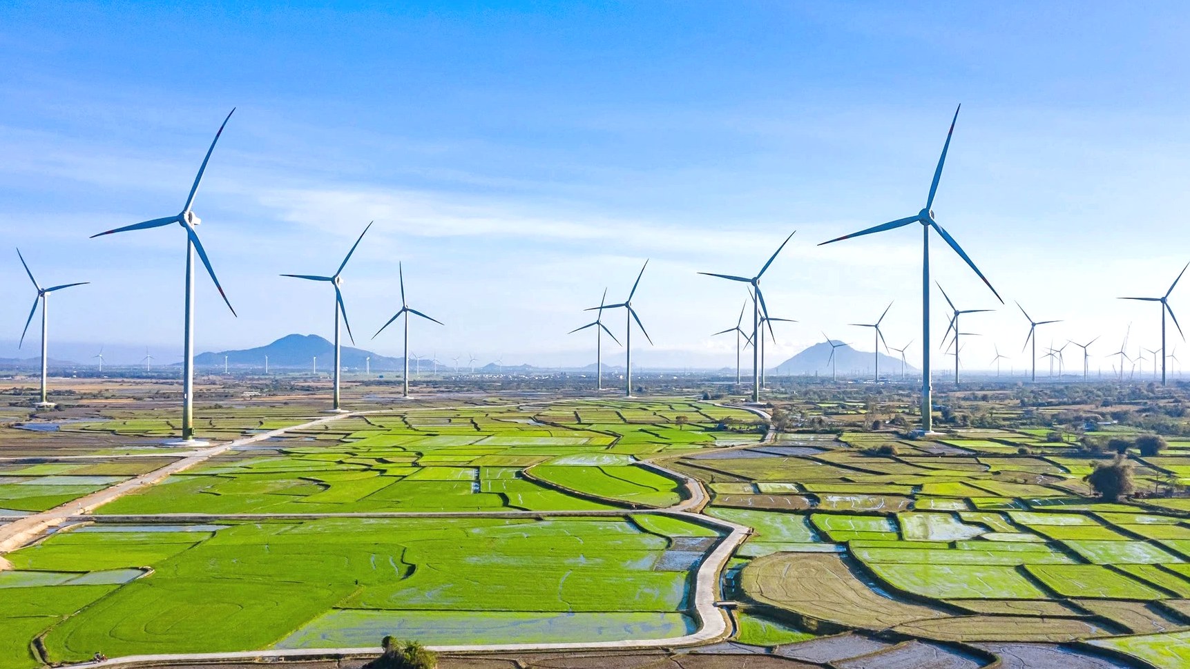 Thành viên HĐQT Tập đoàn PC1 muốn thoái toàn bộ 5% số cổ phiếu đang lưu hành