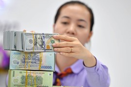 Tỷ giá “hạ nhiệt”, Ngân hàng Nhà nước bơm ròng tháng thứ 2 liên tiếp