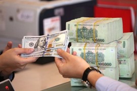 Doanh nghiệp niêm yết “ngấm đòn” tỷ giá