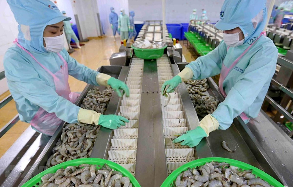 “Vua tôm” Minh Phú sắp phát hành hơn 1 triệu cổ phiếu ESOP