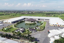 Tiếp tục trong diện cảnh báo, loạt lãnh đạo An Phát Holdings “bán tháo” cổ phiếu APH