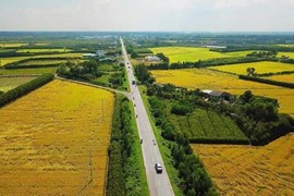 Bộ Tài chính đề xuất bỏ Quyết định 25 của Thủ tướng Chính phủ về việc giảm tiền thuê đất của năm 2023