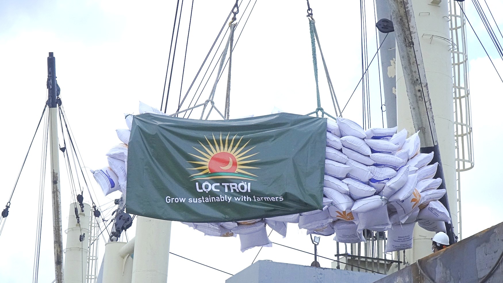 Khủng hoảng tài chính lẫn ban lãnh đạo, Tập đoàn Lộc Trời (LTG) vẫn chưa thể công bố BCTC quý 2